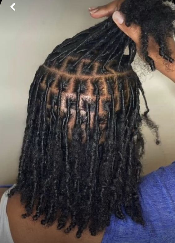 Comb coils (starter locs)